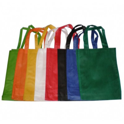 Non Woven Bag - 100gsm