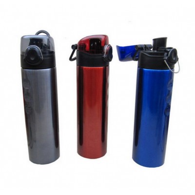 Stainless Steel Bottle