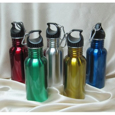 Stainless Steel Bottle